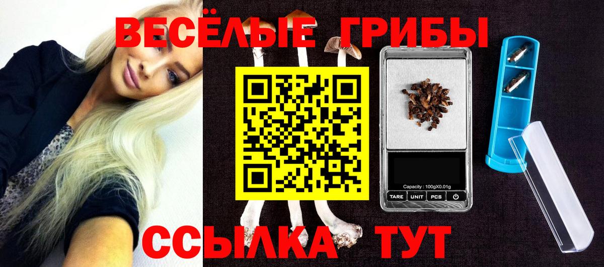 Псилоцибиновые грибы Psilocybine cubensis Ярославль