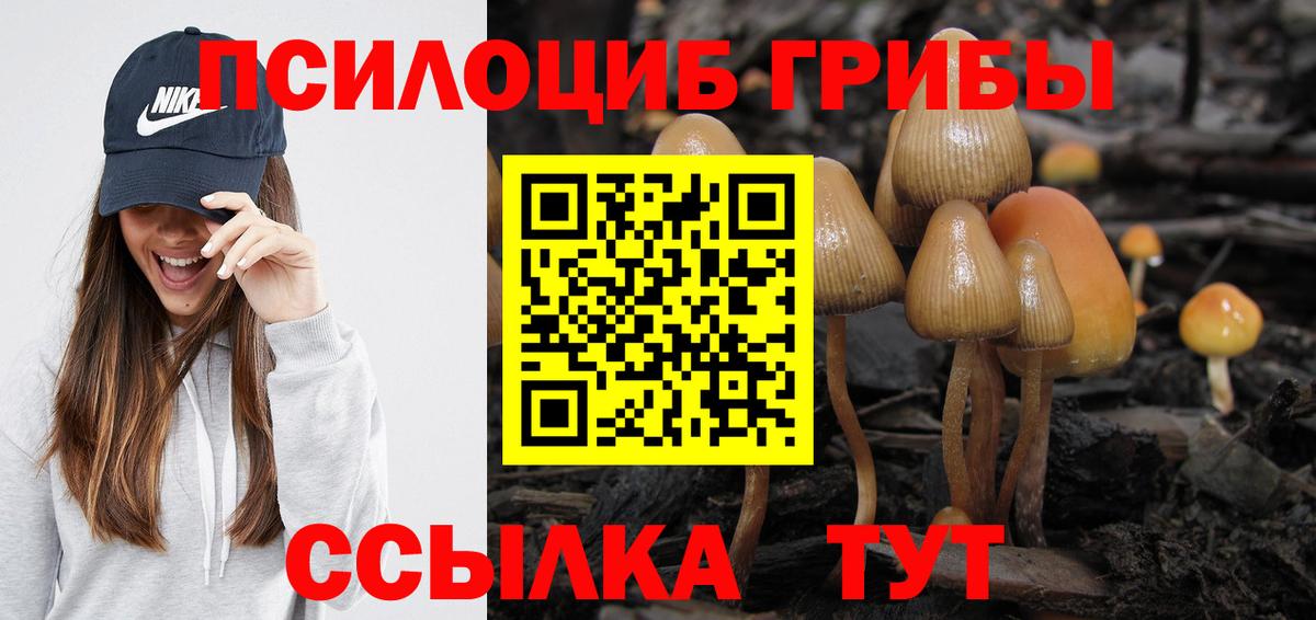 Ярославль  Галлюциногенные грибы прущие грибы  Вход с VPN 
